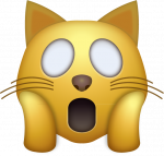 CAT OMG Emoji