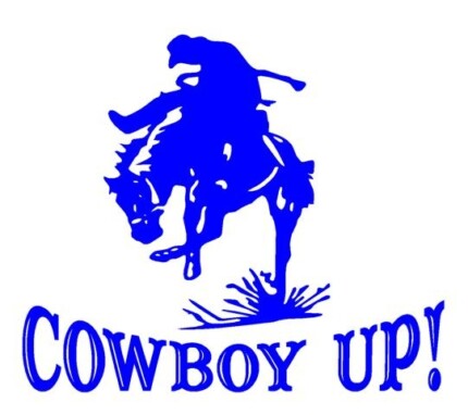 Cowboy Up Saddle Bronco Decia