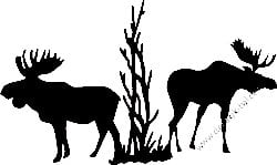 Deer Hunting Decal Sticker 54
