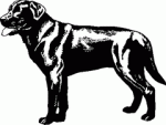 Dog Breed Decal 29a