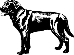 Dog Breed Decal 29a