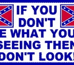 DONT LOOK REBEL FLAG STICKER