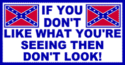 DONT LOOK REBEL FLAG STICKER