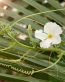 Flowers and Plants Vinyl Wall Art 172