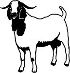 goat farming decal