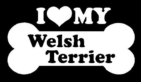 I Love My Weilsh Terrier