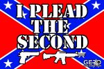 I PLEAD THE SECOND 2ND AMENDMENT DECAL - CONFEDERATE STICKER