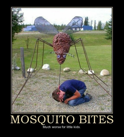 mosquito bites yum lets eat demotivational