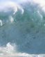 Oceans and Surf Wall Graphic Decals 04