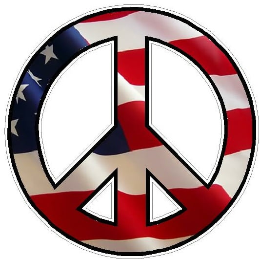 PEACE FILLS USA Flag