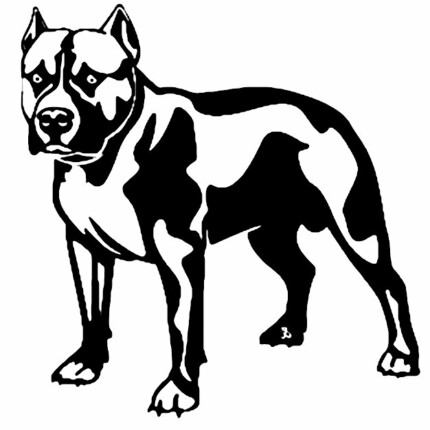 Pitbull Vinyl Car Decal 14