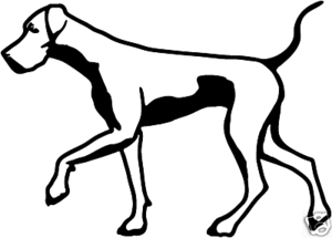 Pointer Hunting Dog Decal