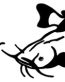 river life fishing decal