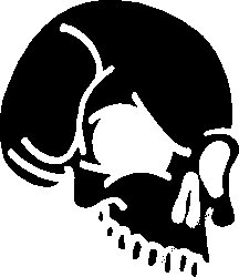 Skull Vinyl Decal Sticker 13