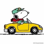 snoopy DRIVING charlie-brown-snoopy