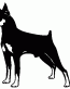 036 Doberman Pinscher Decal