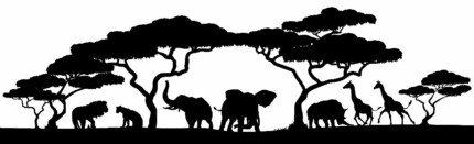 African Animal Decal 34