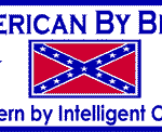 american by birth southern by intelligent choice sticker