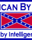 american by birth southern by intelligent choice sticker