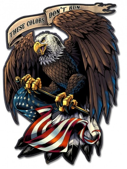 american eagle_holding_flag_plasma_shape