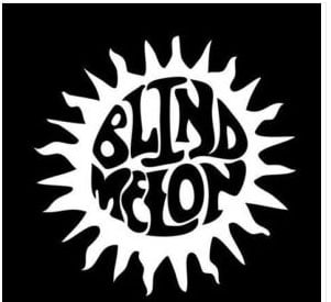 Blind Melon Band Decal