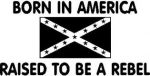 born in america raised to be a rebel die cut decal