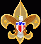 boy scout eagle logo sticker 22