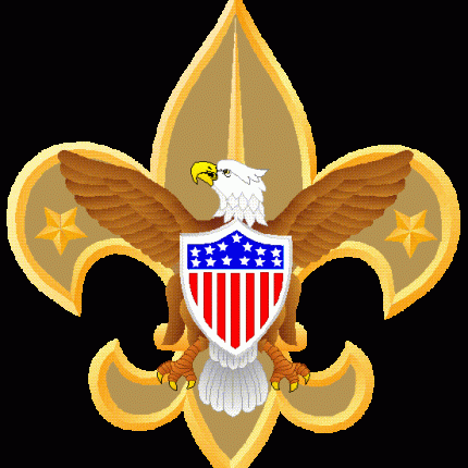 boy scout eagle logo sticker 22