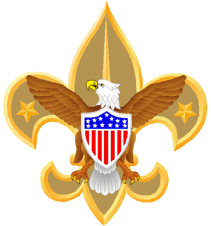 boy scout eagle logo sticker 22