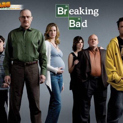 Breaking Bad Wallpaper Decals 4