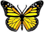 butterfly sticker YELLOW color
