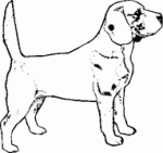 Dog Breed Decal 26a