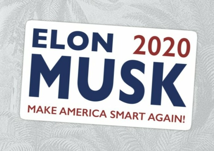 ELON 2020 STICKER make America smart again