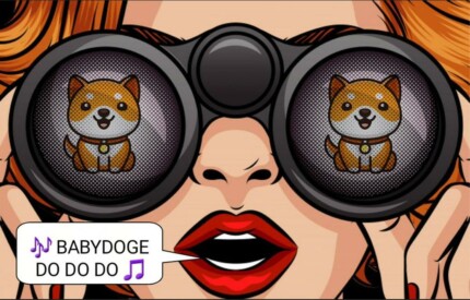 ELON I SEE BABY DOGE DO DO DO STICKER