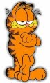 Garfield Decals