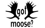 Got Moose Decal