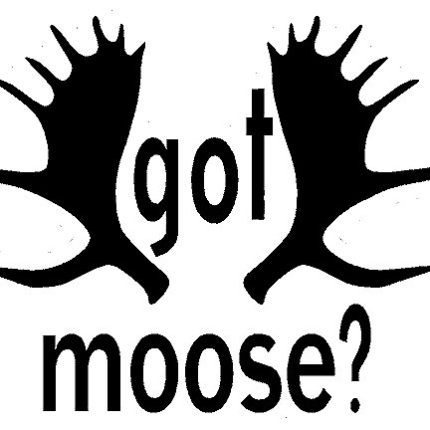 Got Moose Decal