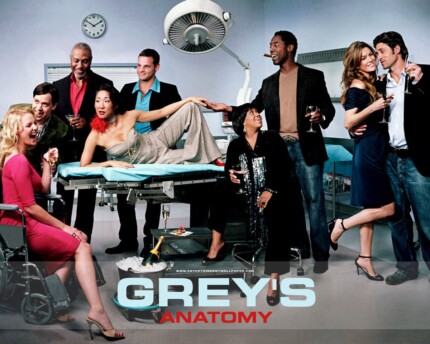 Greys Anatomy Tv Show 2