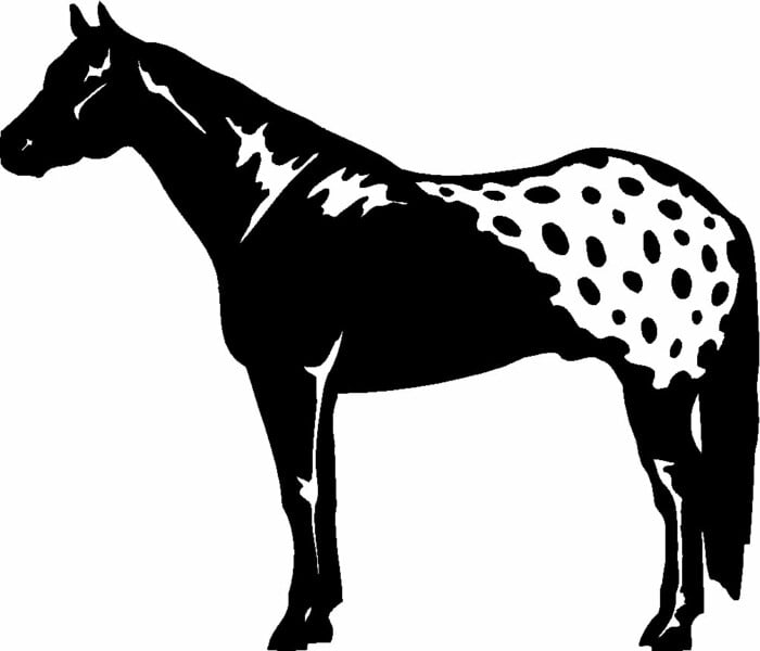 Horses Horse Animal Vinyl Car or WALL Decal Stickers 08