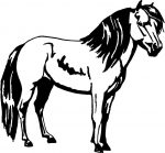 Horses Horse Animal Vinyl Car or WALL Decal Stickers 14