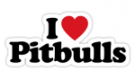 i love pitbulls color sticker 88