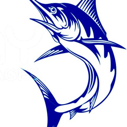 Marlin Fish Die Cut Decal 5