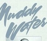 Muddy Waters 2