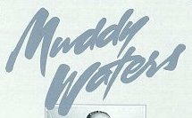 Muddy Waters 2