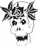 Skull Vinyl Decal Sticker 22