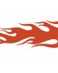 Shield Flames