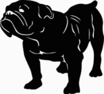 15F British Bull Dog Decal
