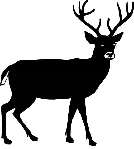 Stag Stickers - 5