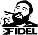 Fidel Diecut Celeb Decals 1