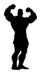 Bodybuilder Decal 1